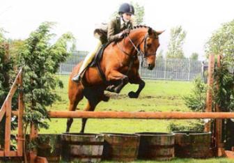 Spinningdale Alicia